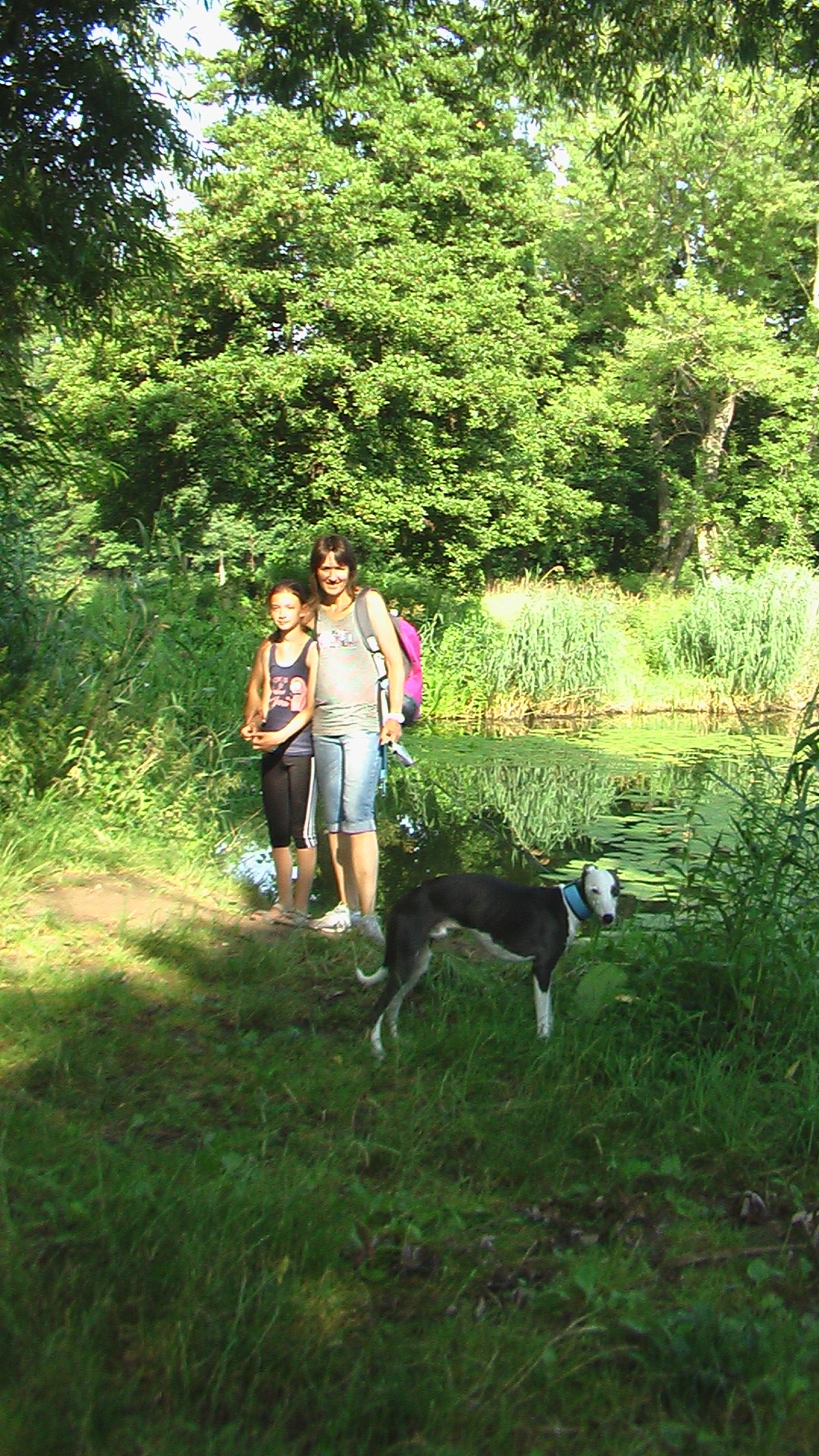 V Kolíně