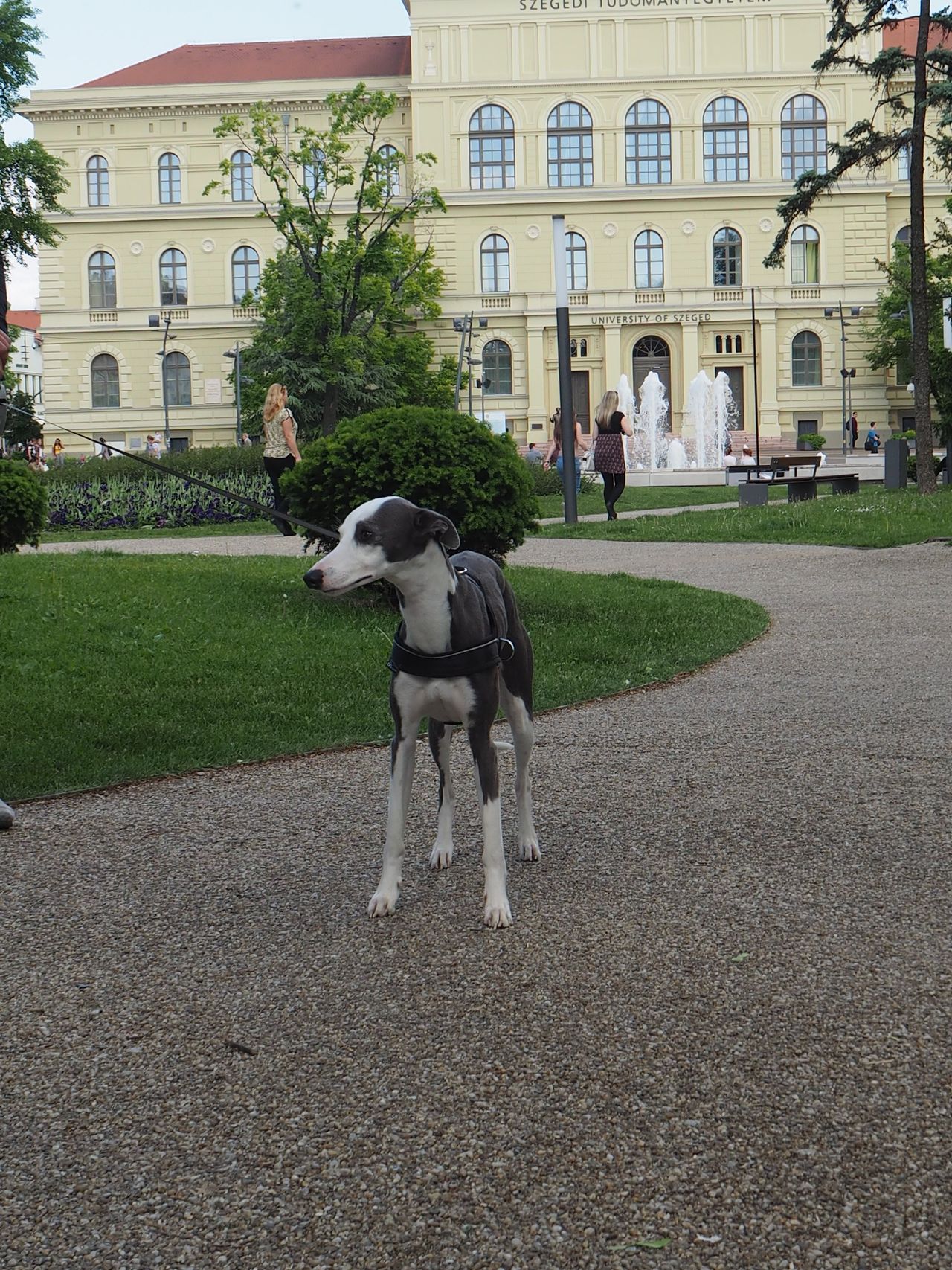 1 Maďarsko Szeged